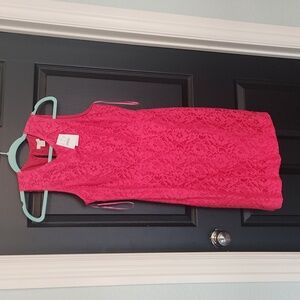 NWT JCrew Women's sleeveless lace pink dress